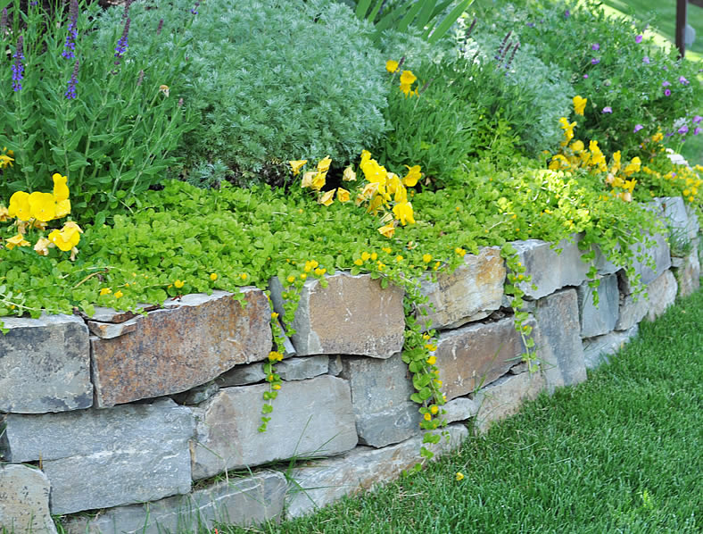 The Terra Group Landscape Contact